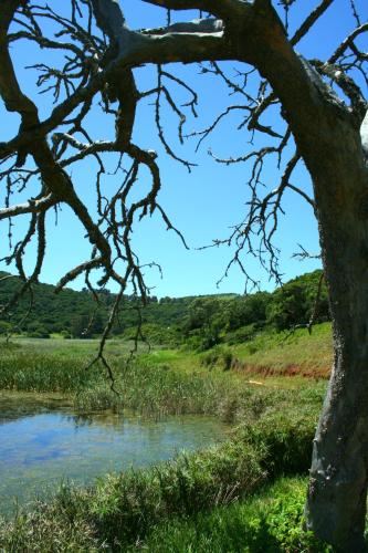 thunzi bush lodge