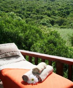 thunzi bush lodge