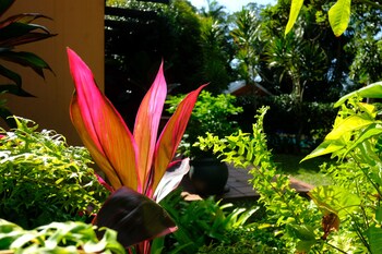 santa lucia guest house