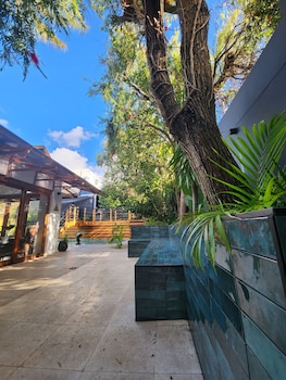 little scotia guest house