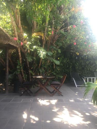 little scotia guest house