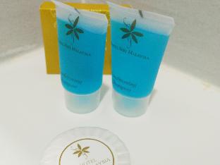 hotel seri malaysia pulau pinang