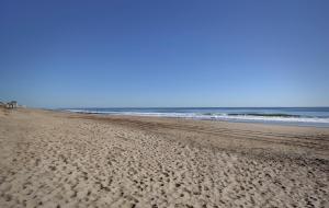 sealoft oceanfront hotel