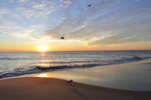 ocean city