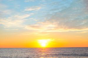 sealoft oceanfront hotel