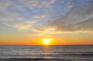 ocean city