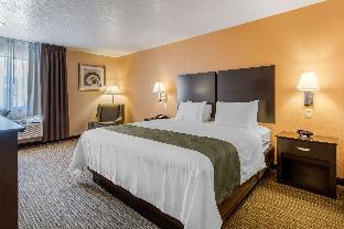 quality inn and suites albuquerque north near balloon fiesta park