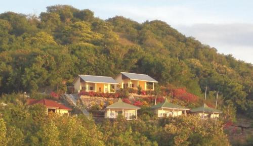 golo hilltop