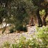 agali hotel paxos
