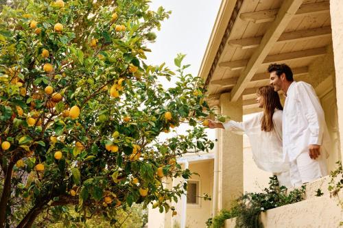 agali hotel paxos