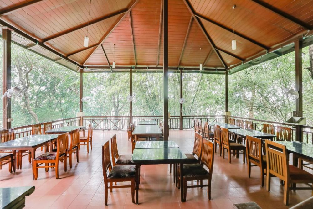 jungle lodges and resorts kabini river lodge
