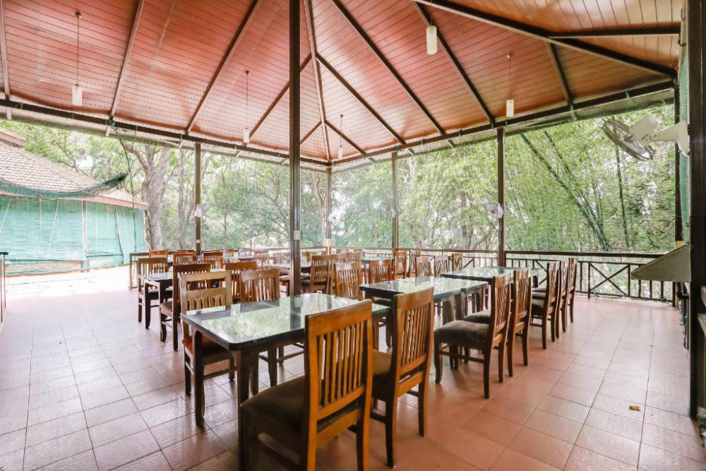 jungle lodges and resorts kabini river lodge
