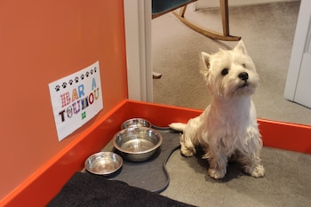 ibis styles lille centre grand place