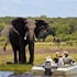 chobe river lodge