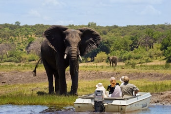 chobe river lodge