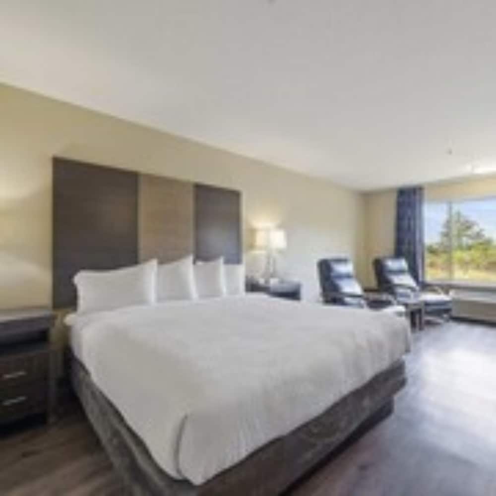 oceanview inn at the arch