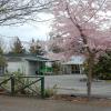 tongariro river motel