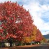 tongariro river motel