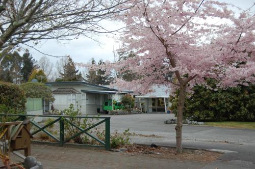 tongariro river motel
