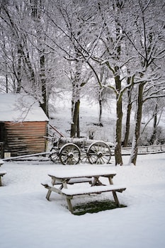 cardrona