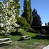 cardrona