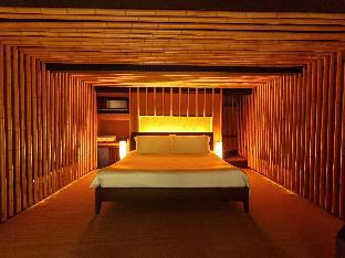 kinnotake sengokuhara adult only