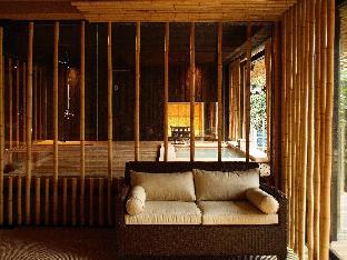 kinnotake sengokuhara adult only