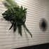 adelaide airport motel