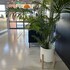 adelaide airport motel
