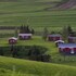 kirkjubaejarklaustur