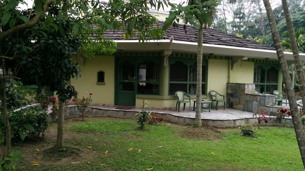 sauraha