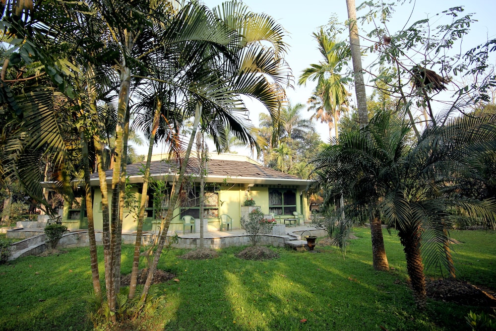 sauraha