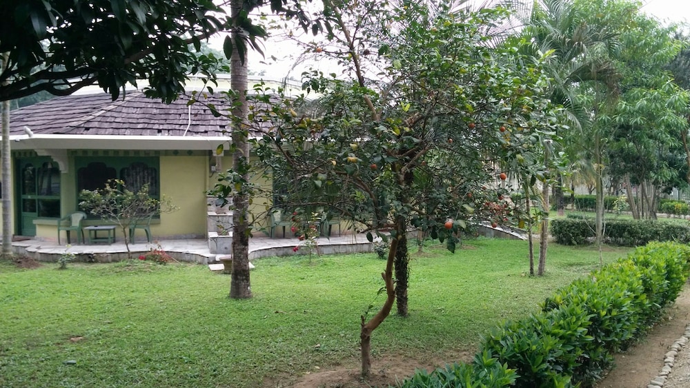 sauraha