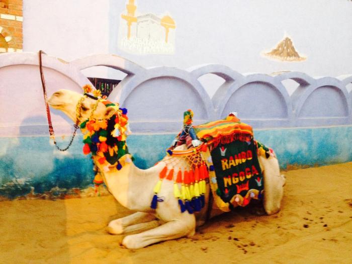 cleopatra hotel luxor