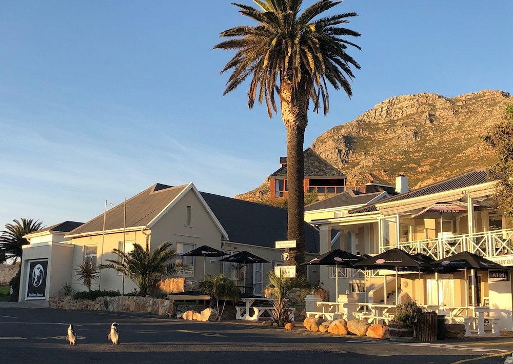 Boulders Beach Hotel, Cafe And Curio,Cape Town>>Boulders Beach,3 star