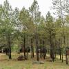 campos do jordao