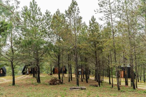 campos do jordao