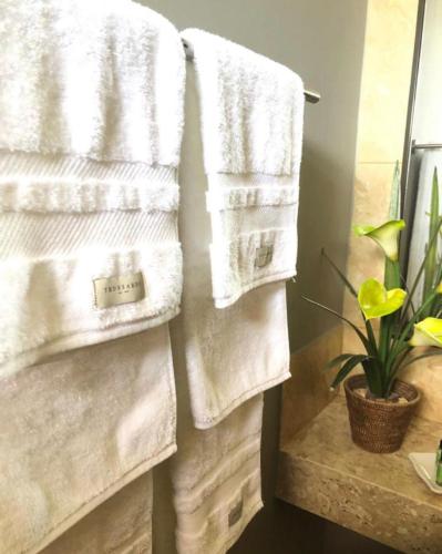 ibiza boutique hotel cumbuco