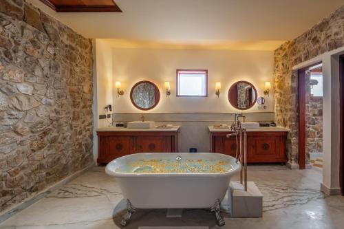 juna mahal jungle resort ranthambore