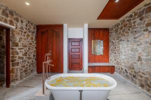 juna mahal jungle resort ranthambore