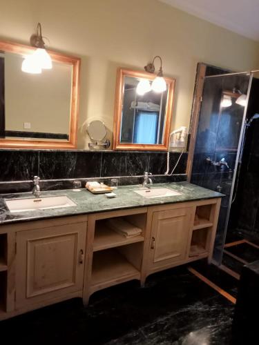 juna mahal jungle resort ranthambore