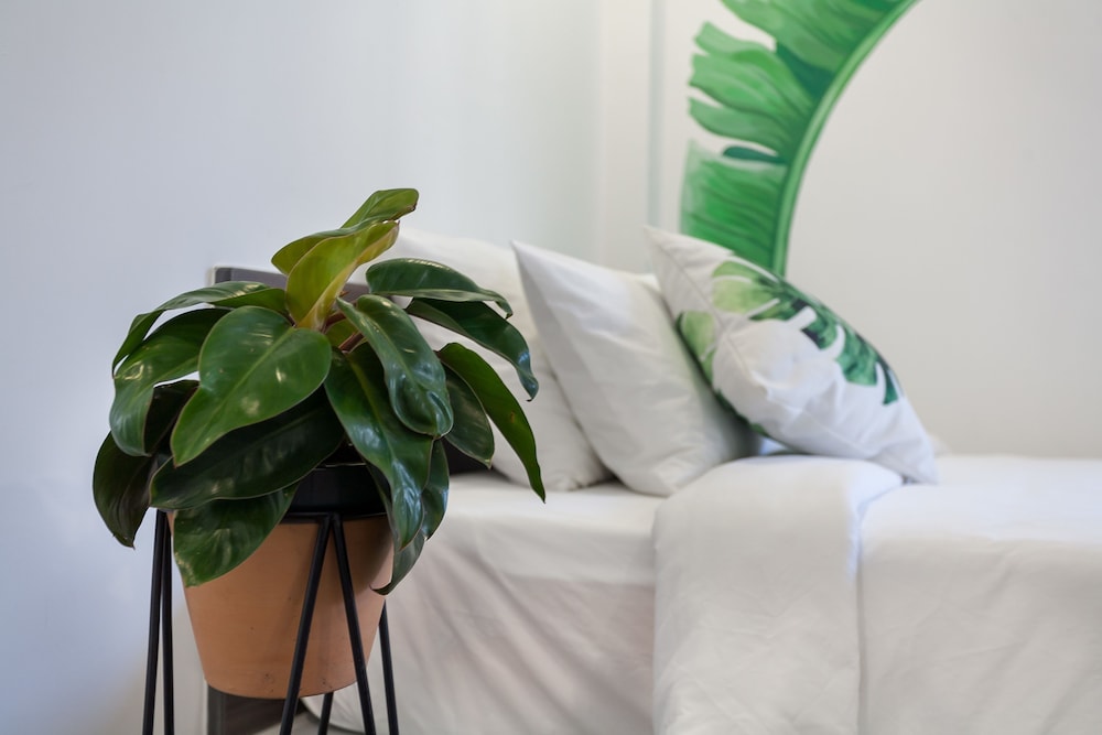 la regatta boutique residences