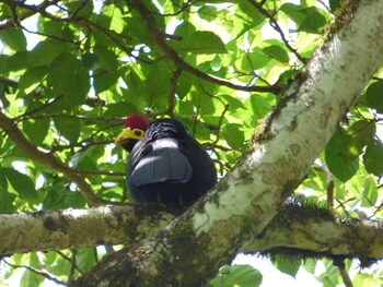 rondo retreat centre