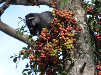 rondo retreat centre