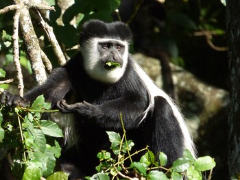 rondo retreat centre