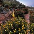 physis villas chania