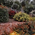 chania