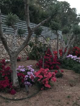 chania