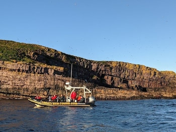 clarenville