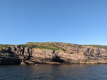 clarenville
